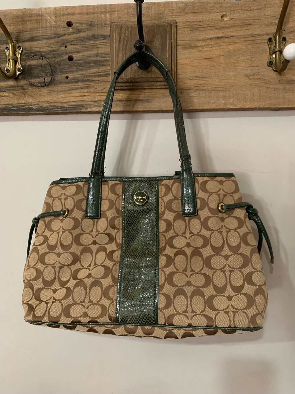 Coach F24882 Signature Python Stripe Carryall Tote Bag
